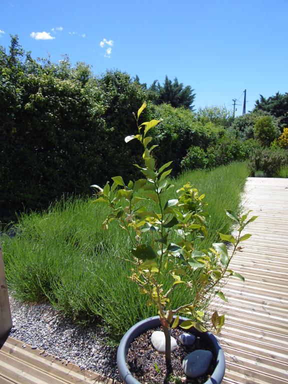 Bed and Breakfast Les Terrasses De Valensole Exterior foto